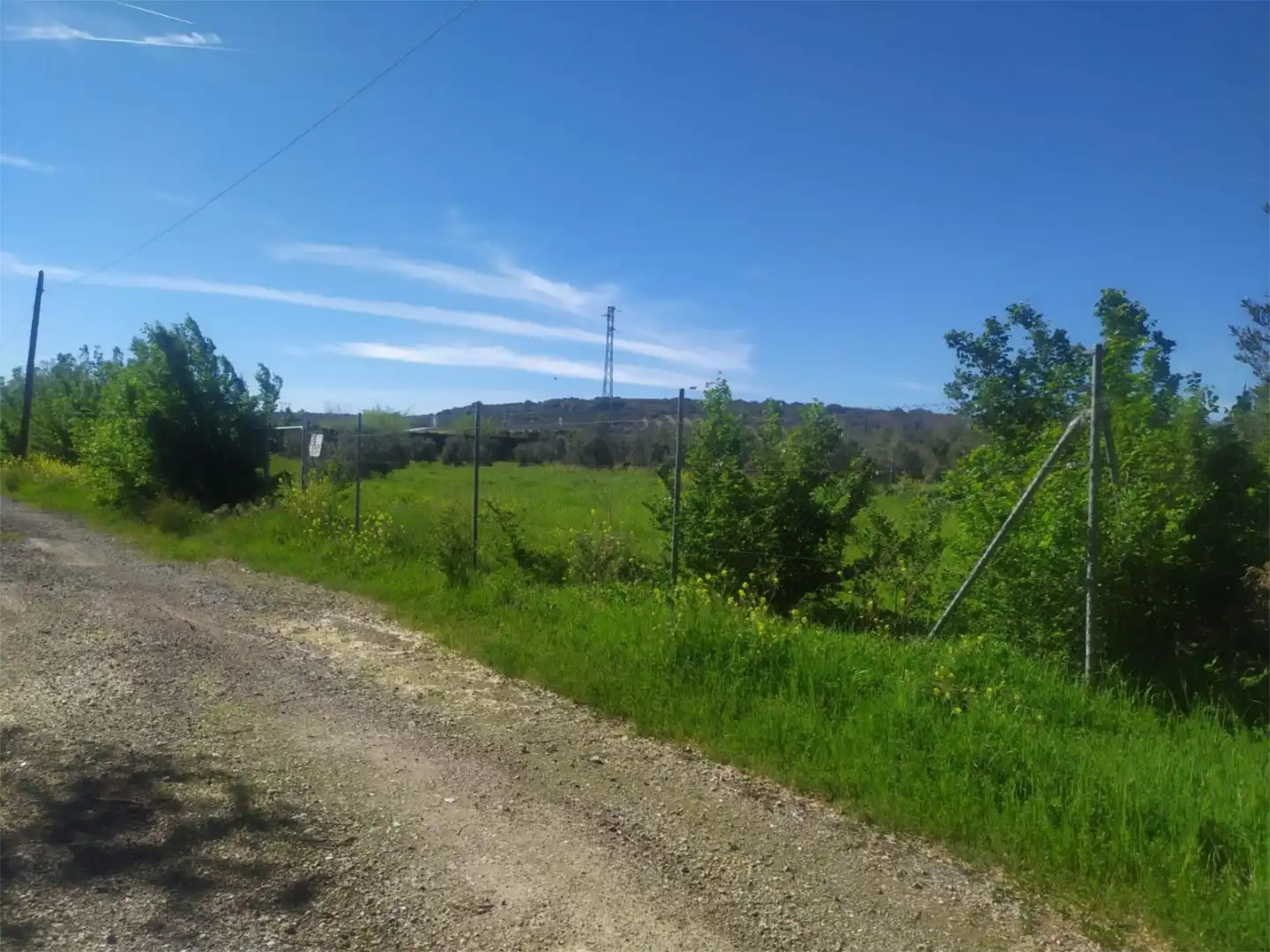 No Urbanitzable en venda a Calle Acacia, Úbeda No Urbanitzable en venda en Úbeda