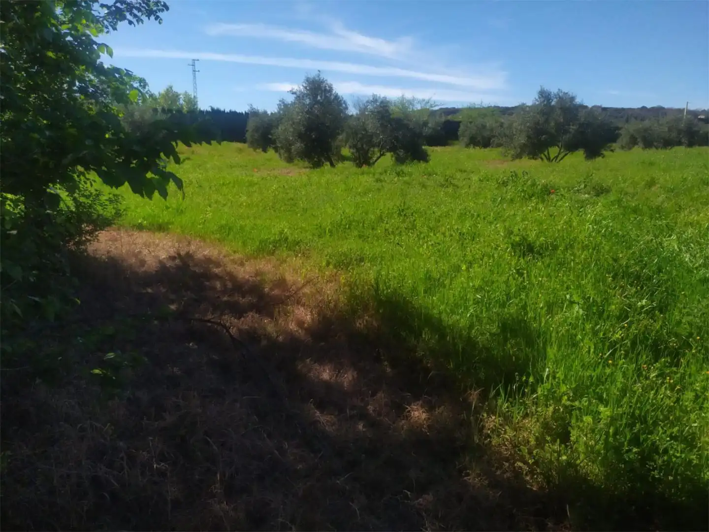 No Urbanitzable en venda a Calle Acacia, Úbeda No Urbanitzable en venda en Úbeda