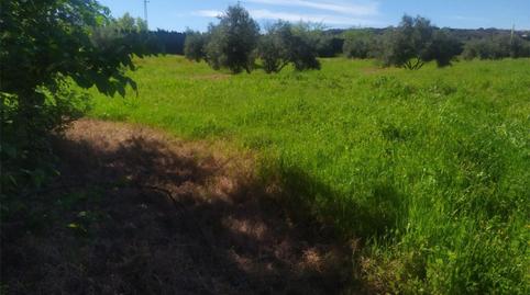 Foto 4 de No Urbanizable en venta en Calle Acacia, Úbeda, Jaén