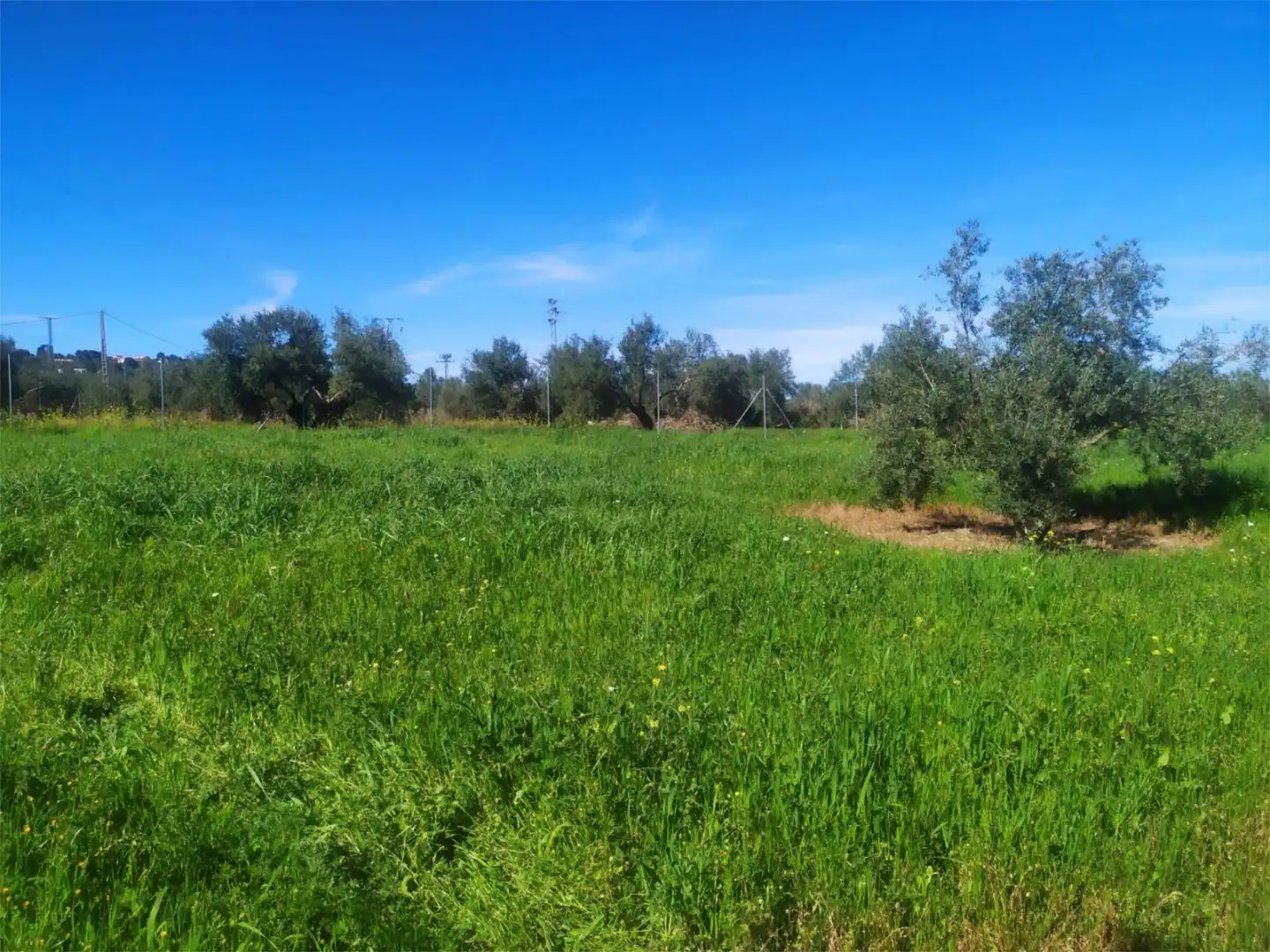 No Urbanitzable en venda a Calle Acacia, Úbeda No Urbanitzable en venda en Úbeda