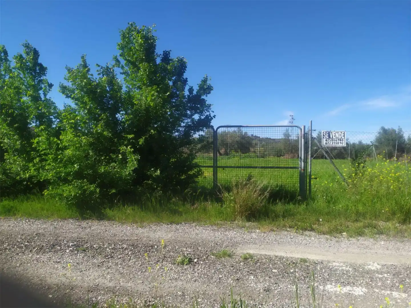 No Urbanitzable en venda a Calle Acacia, Úbeda No Urbanitzable en venda en Úbeda