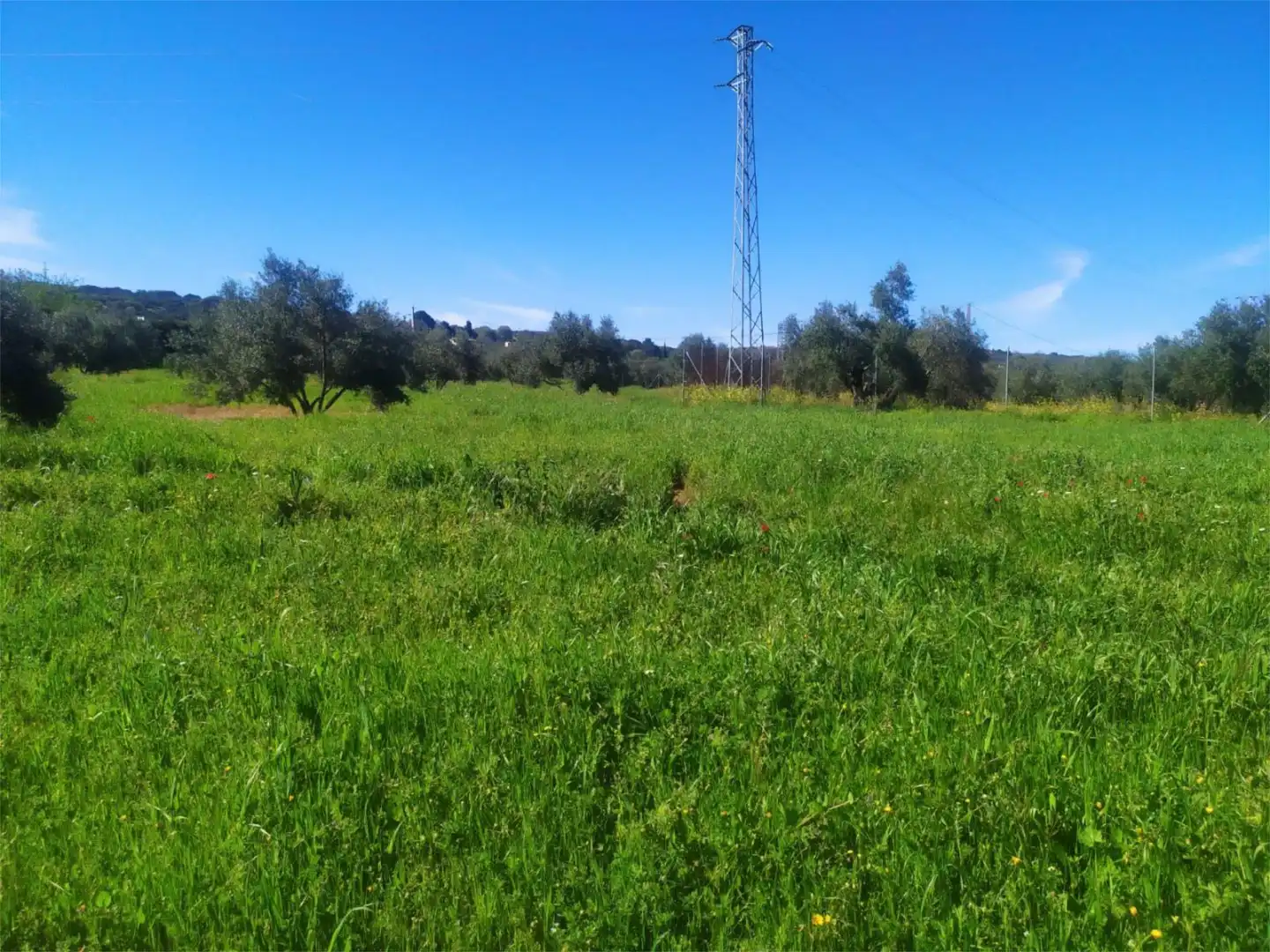 No Urbanitzable en venda a Calle Acacia, Úbeda No Urbanitzable en venda en Úbeda