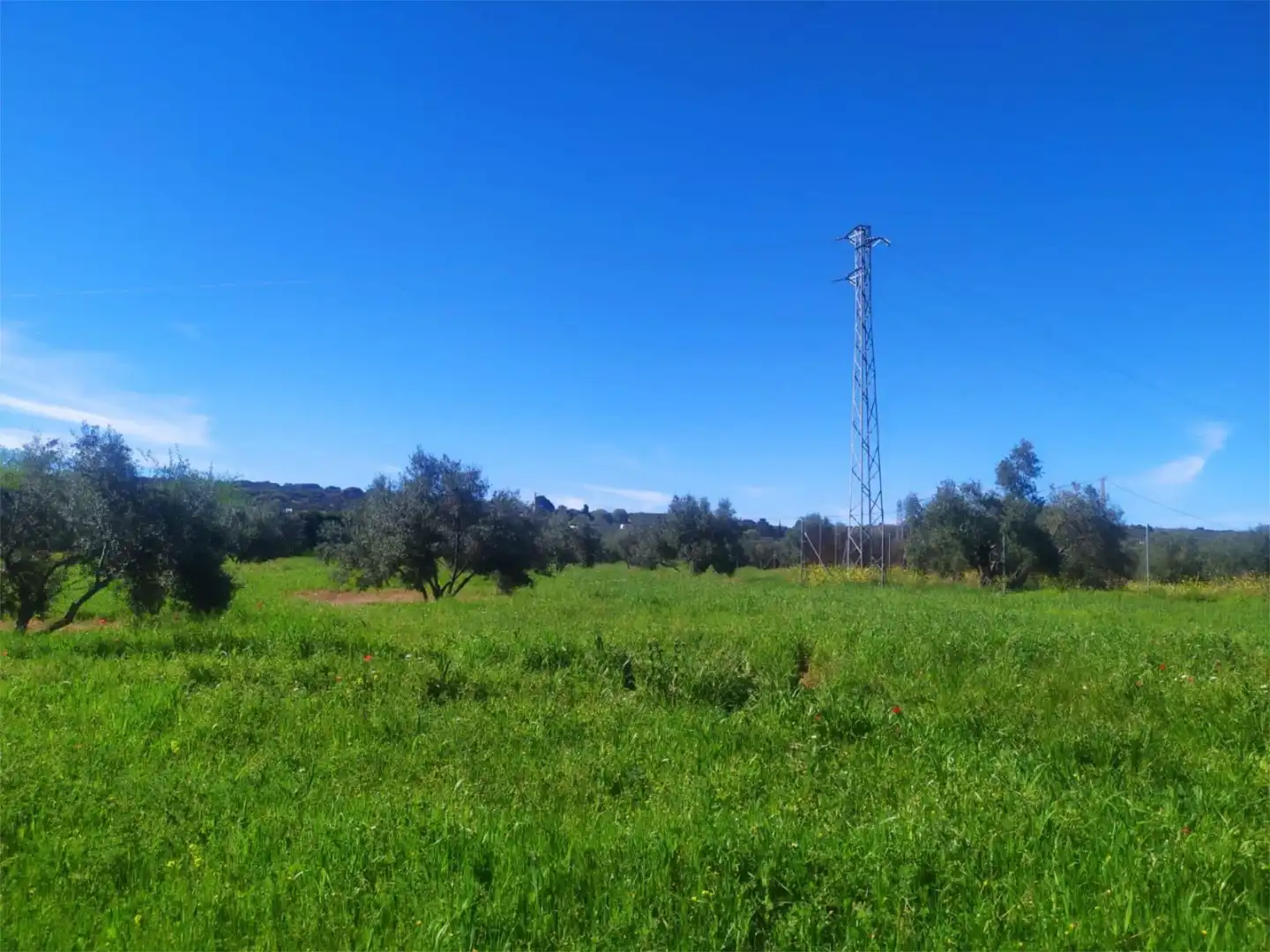 No Urbanitzable en venda a Calle Acacia, Úbeda No Urbanitzable en venda en Úbeda