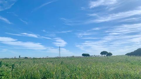 Photo 4 of Land for sale in Carretera Chipiona, 210, Avenida de Rota, Chipiona