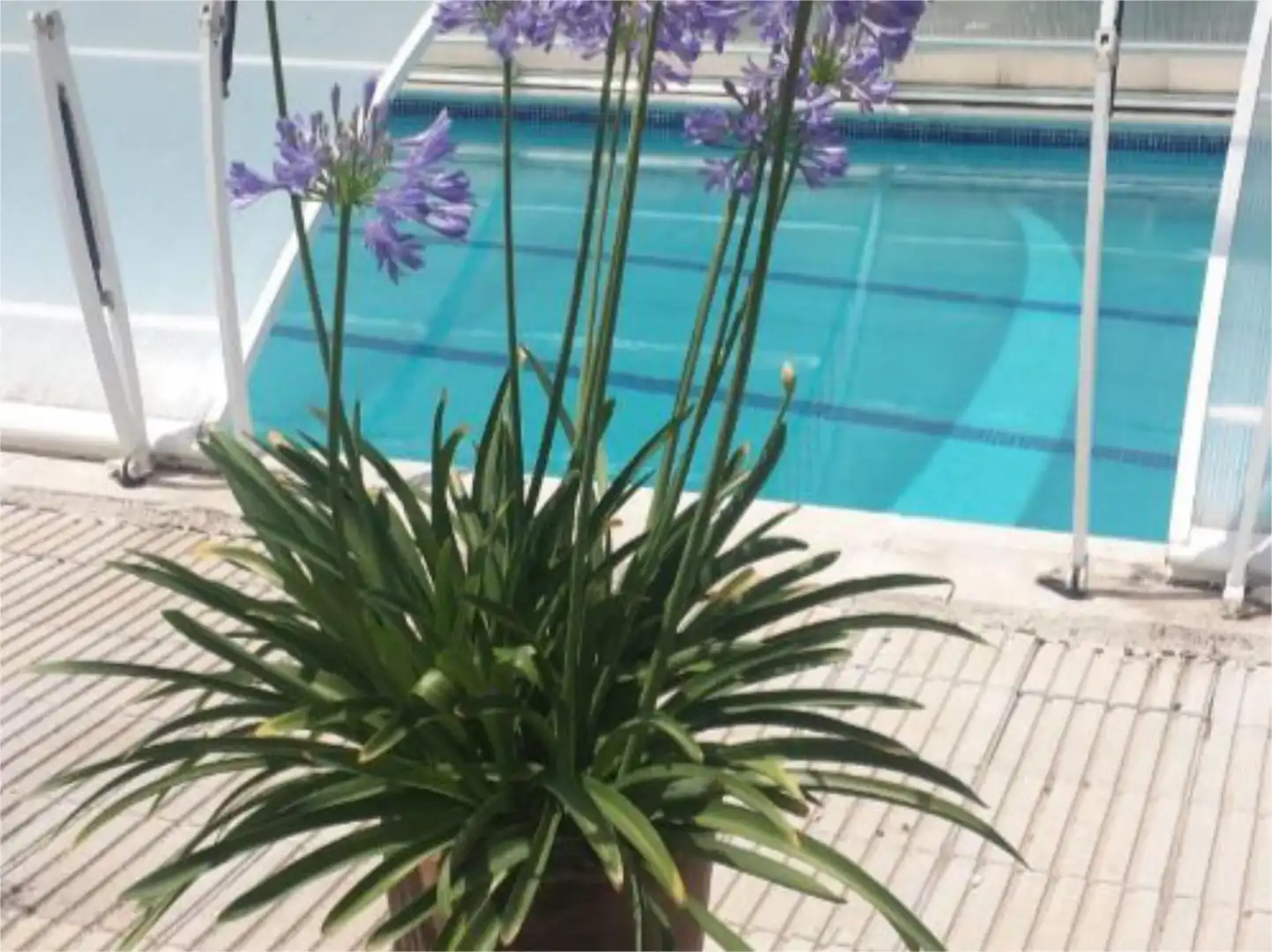 Casa o chalet en venta en Carrer del Riu, 23, Tàrrega Piscina de Casa o chalet en venta en Tàrrega con Aire acondicionado, Terraza y Piscina