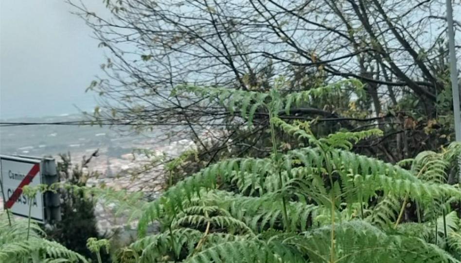 Country house zum Verkauf in Carretera Palo Blanco, 1, La Perdoma - San Antonio - Benijos, La Orotava - Bild 1 Foto 1 von Country house zum Verkauf in Carretera Palo Blanco, 1, La Perdoma - San Antonio - Benijos, La Orotava