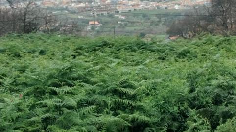 Country house zum Verkauf in Carretera Palo Blanco, 1, La Perdoma - San Antonio - Benijos, La Orotava - Bild 2 Foto 2 von Country house zum Verkauf in Carretera Palo Blanco, 1, La Perdoma - San Antonio - Benijos, La Orotava