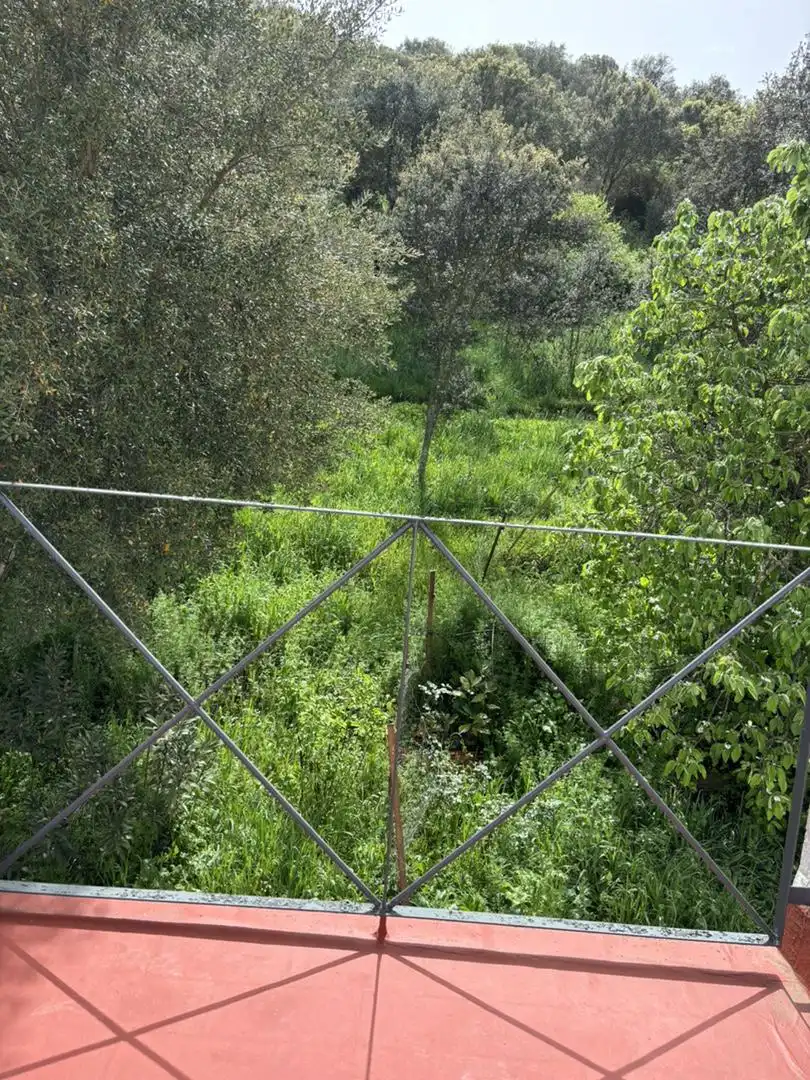 Casa o xalet en venda en San Nicolás del Puerto amb Terrassa, Moblat i Balcó