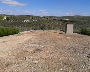 Land for sale in Casariche