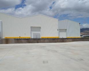 Exterior view of Industrial buildings to rent in Níjar