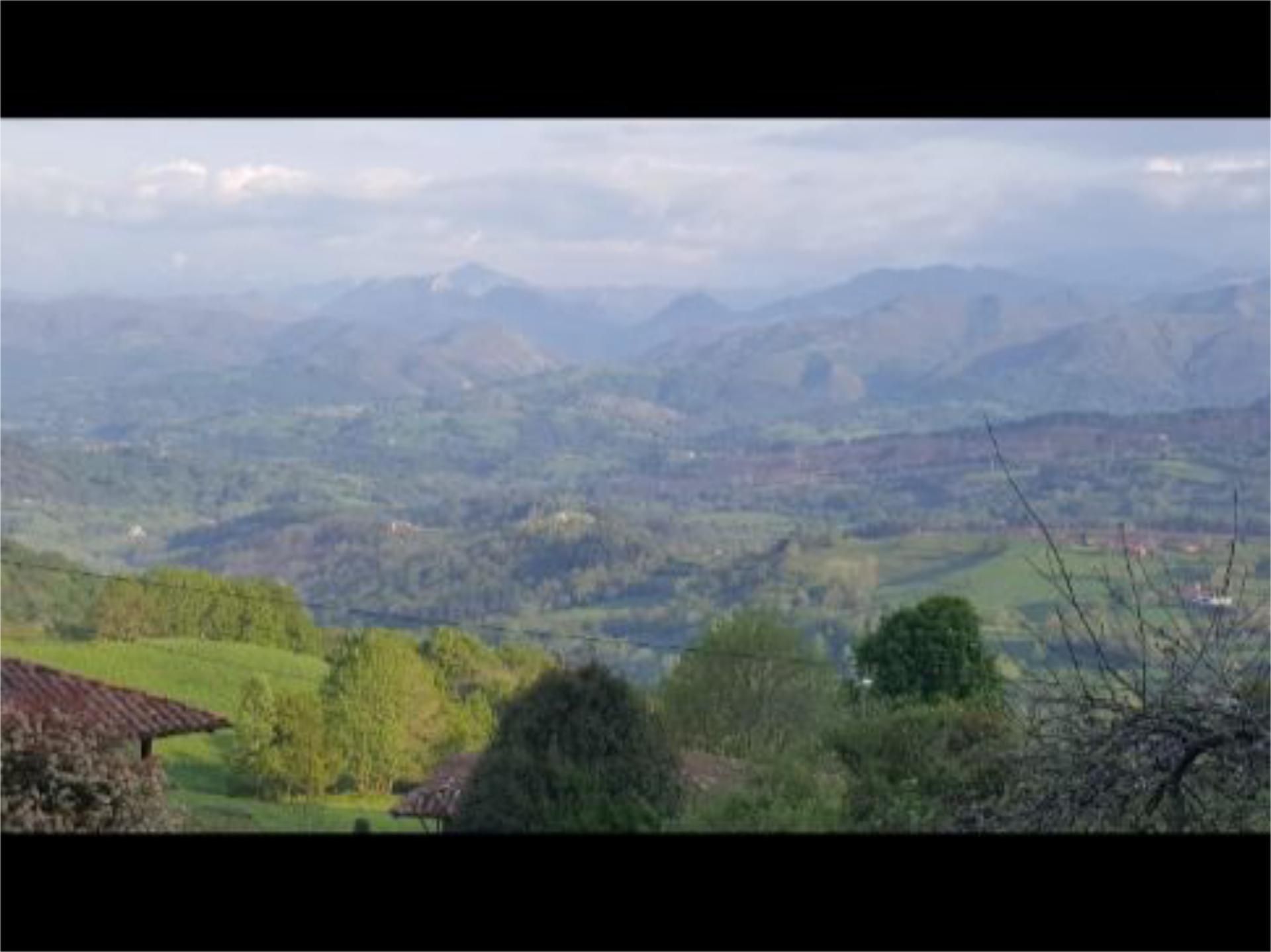 Exterior view of Country house for sale in Piloña  with Furnished and Balcony