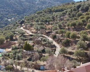 Vista exterior de Finca rústica de lloguer en Laroya amb Terrassa i Balcó