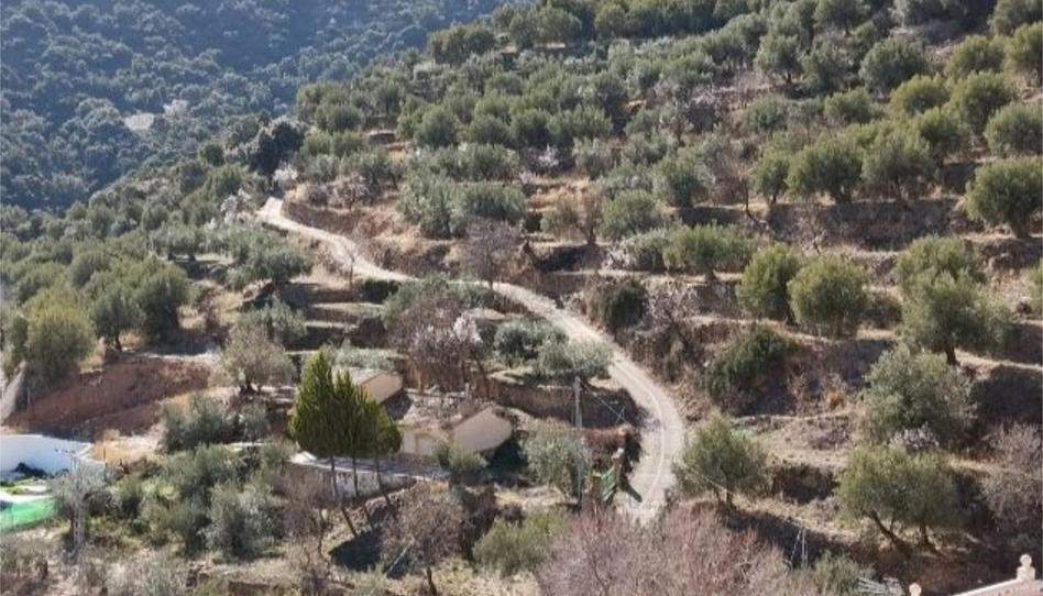 Foto 1 de Finca rústica de lloguer a Calle Alta, 8, Laroya, Almería