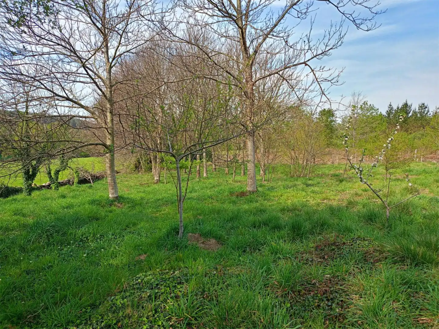 Casa o xalet en venda a Lugar Soñariño, 7, Parroquias del Oeste Casa o xalet en venda en Lugo