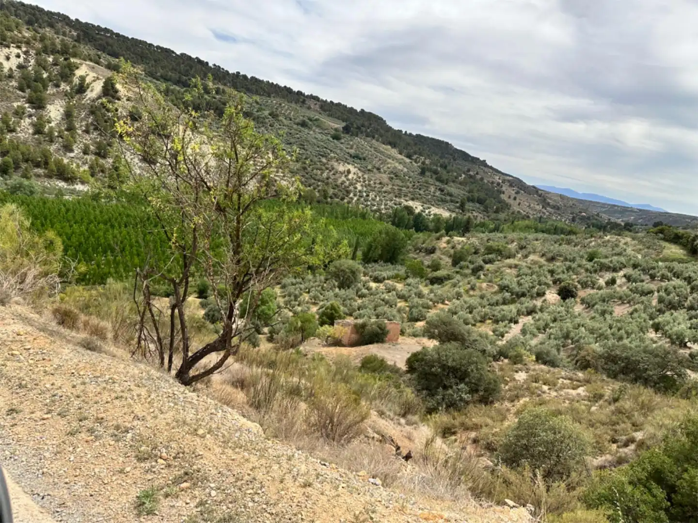 Maisonette zum Verkauf in Pozo Alcón mit Privatgarten, Abstellraum und Möbliert