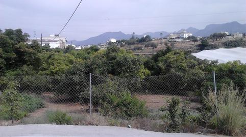 Foto 2 de Finca rústica en venda a Pago Castillo Alto, 12e, Avda Pescia - Ctra de Frigiliana, Nerja