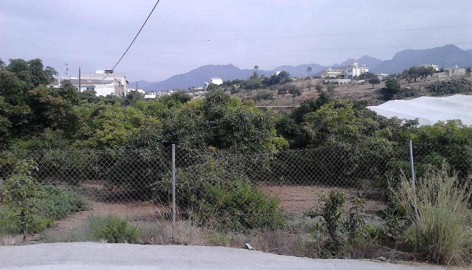 Finca rústica en venda a Pago Castillo Alto, 12e, Avda Pescia - Ctra de Frigiliana, Málaga - imatge 1 Foto 1 de Finca rústica en venda a Pago Castillo Alto, 12e, Avda Pescia - Ctra de Frigiliana, Málaga