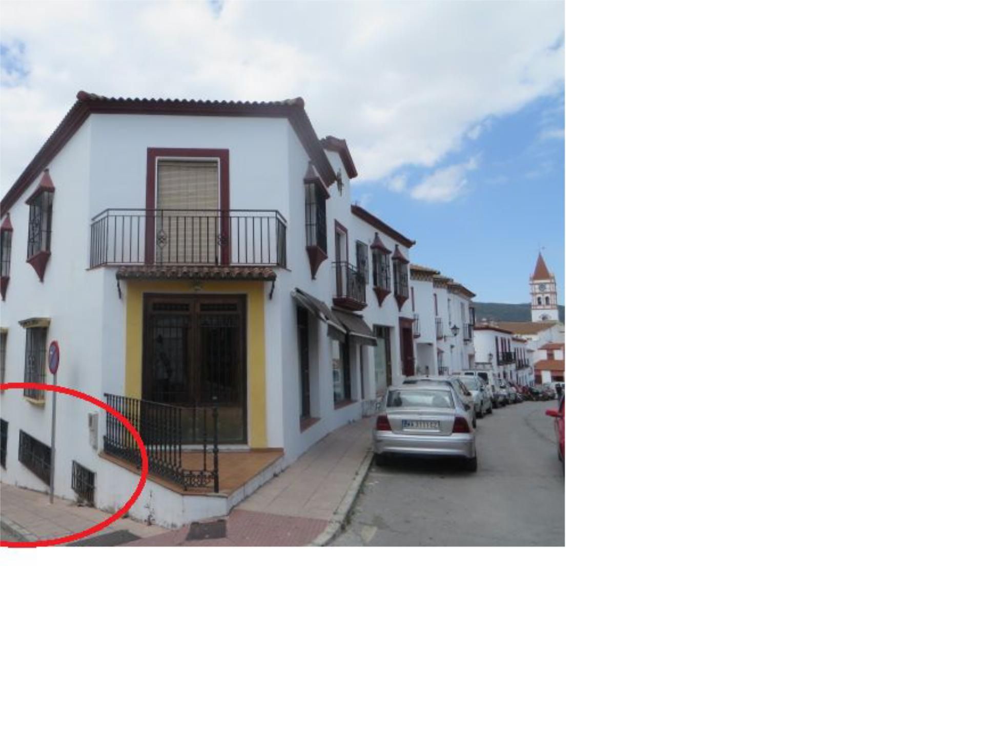 Exterior view of Garage for sale in Arriate