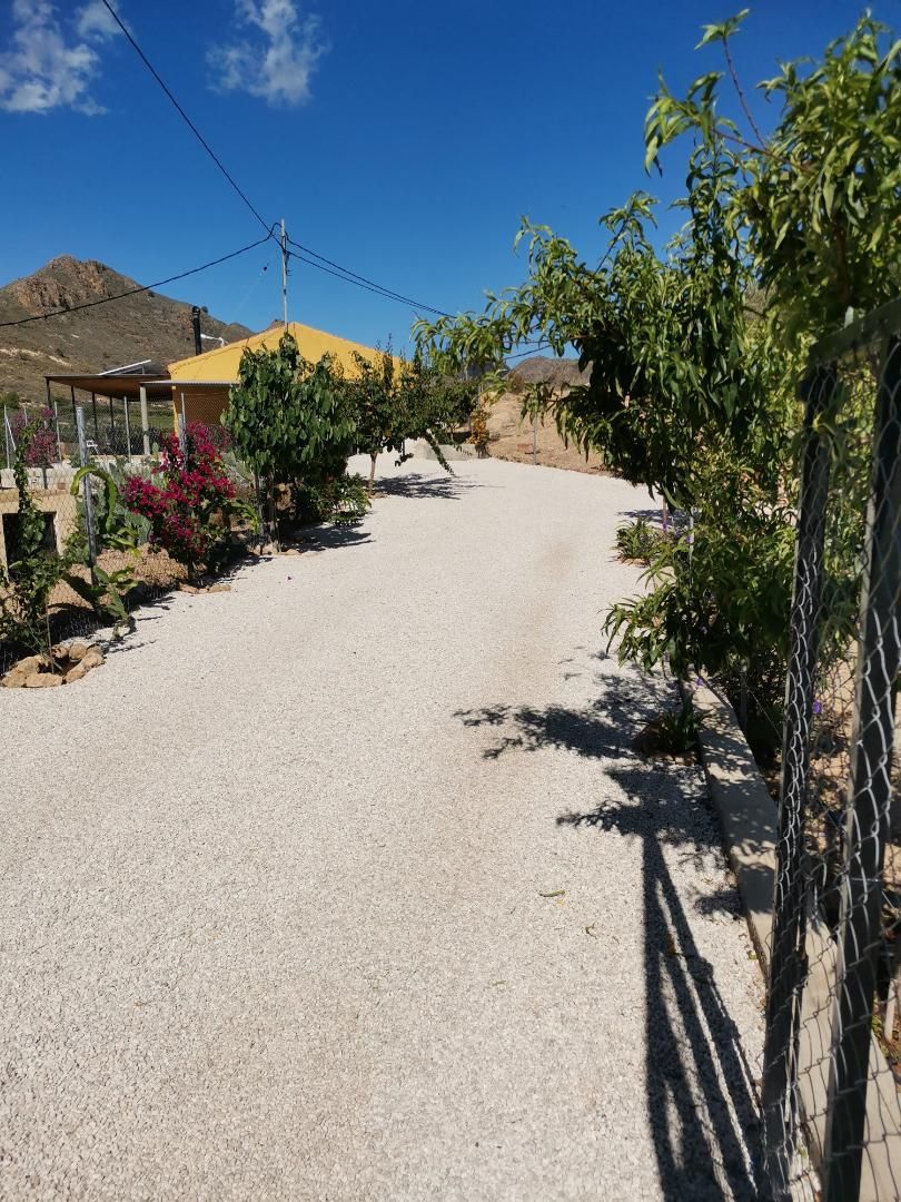 Exterior view of Box room for sale in Lorca  with Private garden, Terrace and Storage room