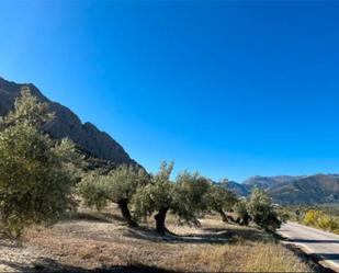 Exterior view of Land for sale in Bedmar y Garcíez