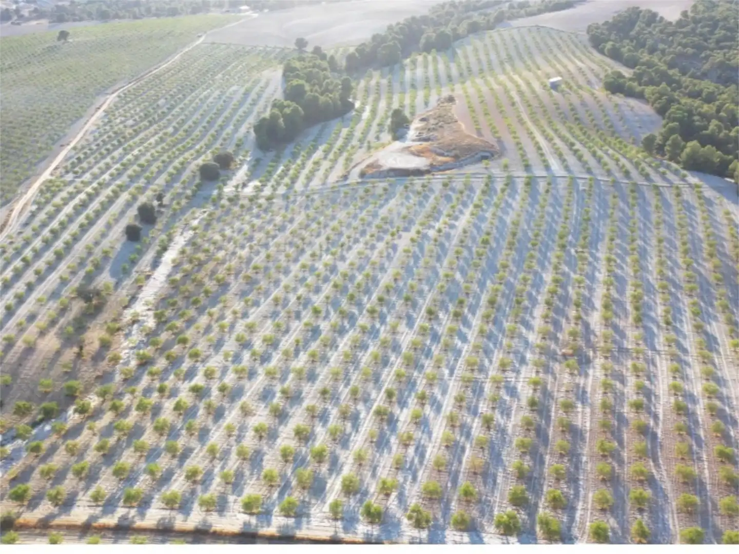 Finca rústica en venta en Barrio San Marcos, 31, Castilléjar Finca rústica en venta en Castilléjar