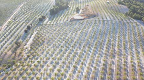 Finca rústica en venda a Barrio San Marcos, 31, Castilléjar, Granada - imatge 3 Foto 3 de Finca rústica en venda a Barrio San Marcos, 31, Castilléjar, Granada
