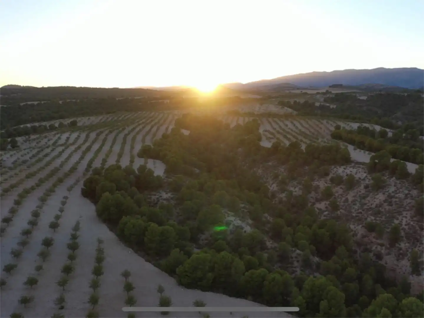 Finca rústica en venta en Barrio San Marcos, 31, Castilléjar Finca rústica en venta en Castilléjar