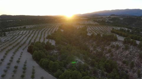 Finca rústica en venda a Barrio San Marcos, 31, Castilléjar, Granada - imatge 4 Foto 4 de Finca rústica en venda a Barrio San Marcos, 31, Castilléjar, Granada