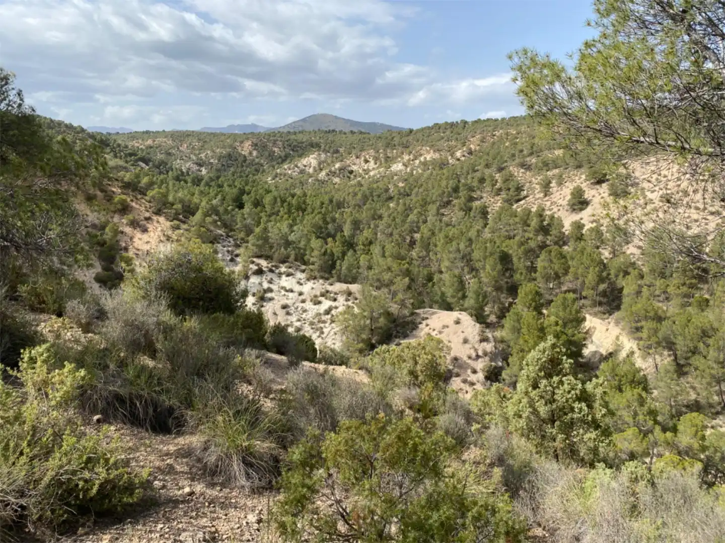 Finca rústica en venta en Barrio San Marcos, 31, Castilléjar Finca rústica en venta en Castilléjar