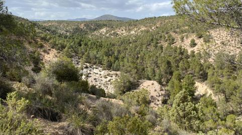 Finca rústica en venda a Barrio San Marcos, 31, Castilléjar, Granada - imatge 2 Foto 2 de Finca rústica en venda a Barrio San Marcos, 31, Castilléjar, Granada