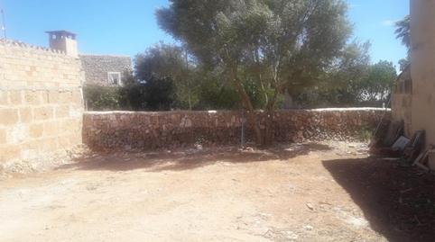 Constructible Land for sale in Carrer Costa I Llobera, 28, Es Llombards, Illes Balears - image 2 Photo 2 of Constructible Land for sale in Carrer Costa I Llobera, 28, Es Llombards, Illes Balears