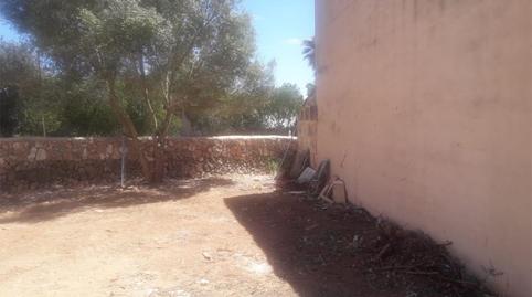 Constructible Land for sale in Carrer Costa I Llobera, 28, Es Llombards, Illes Balears - image 5 Photo 5 of Constructible Land for sale in Carrer Costa I Llobera, 28, Es Llombards, Illes Balears