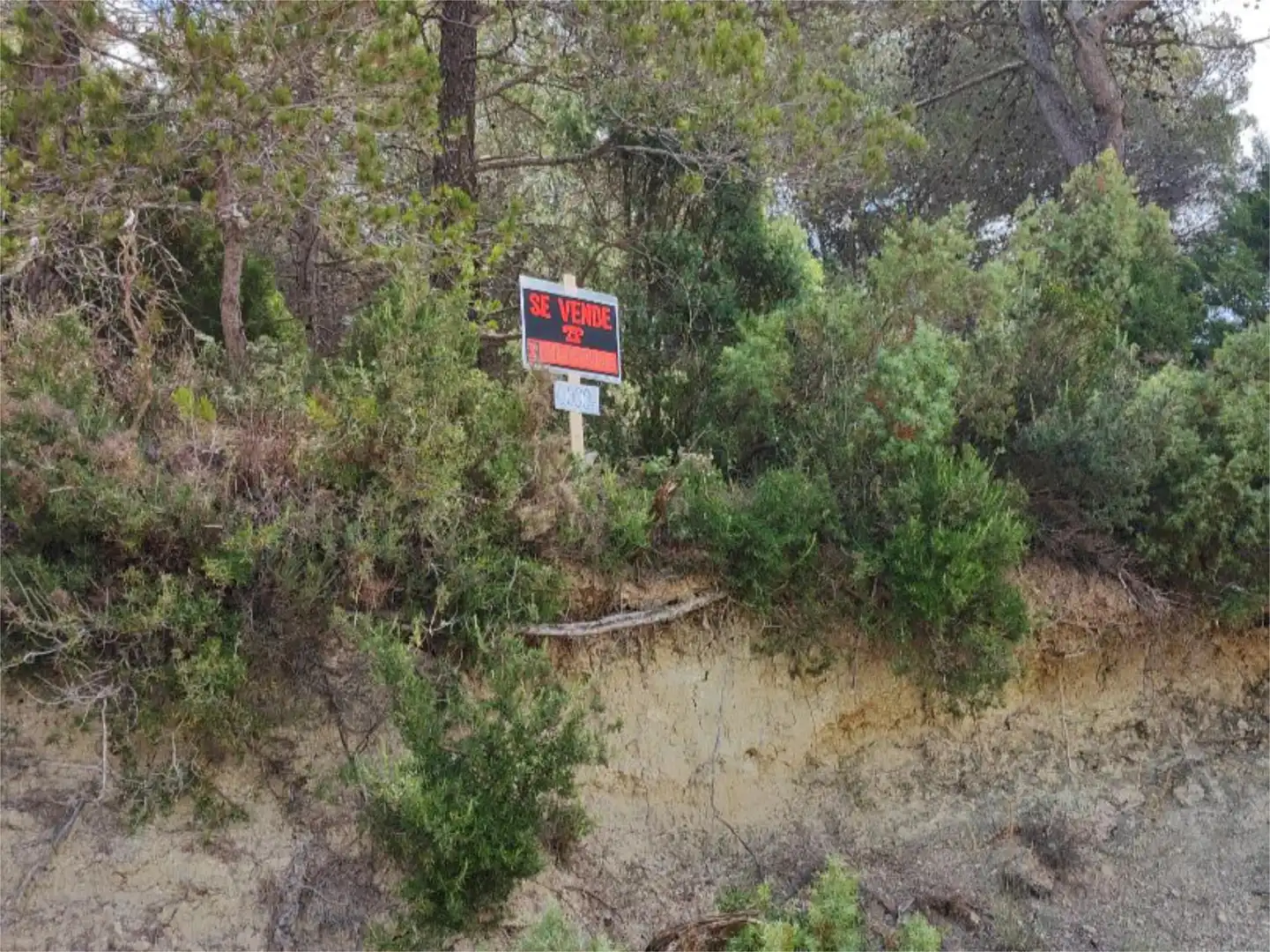 Terreno en venta en Querol