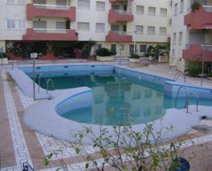 Swimming pool of Flat to rent in Motril  with Air Conditioner and Terrace