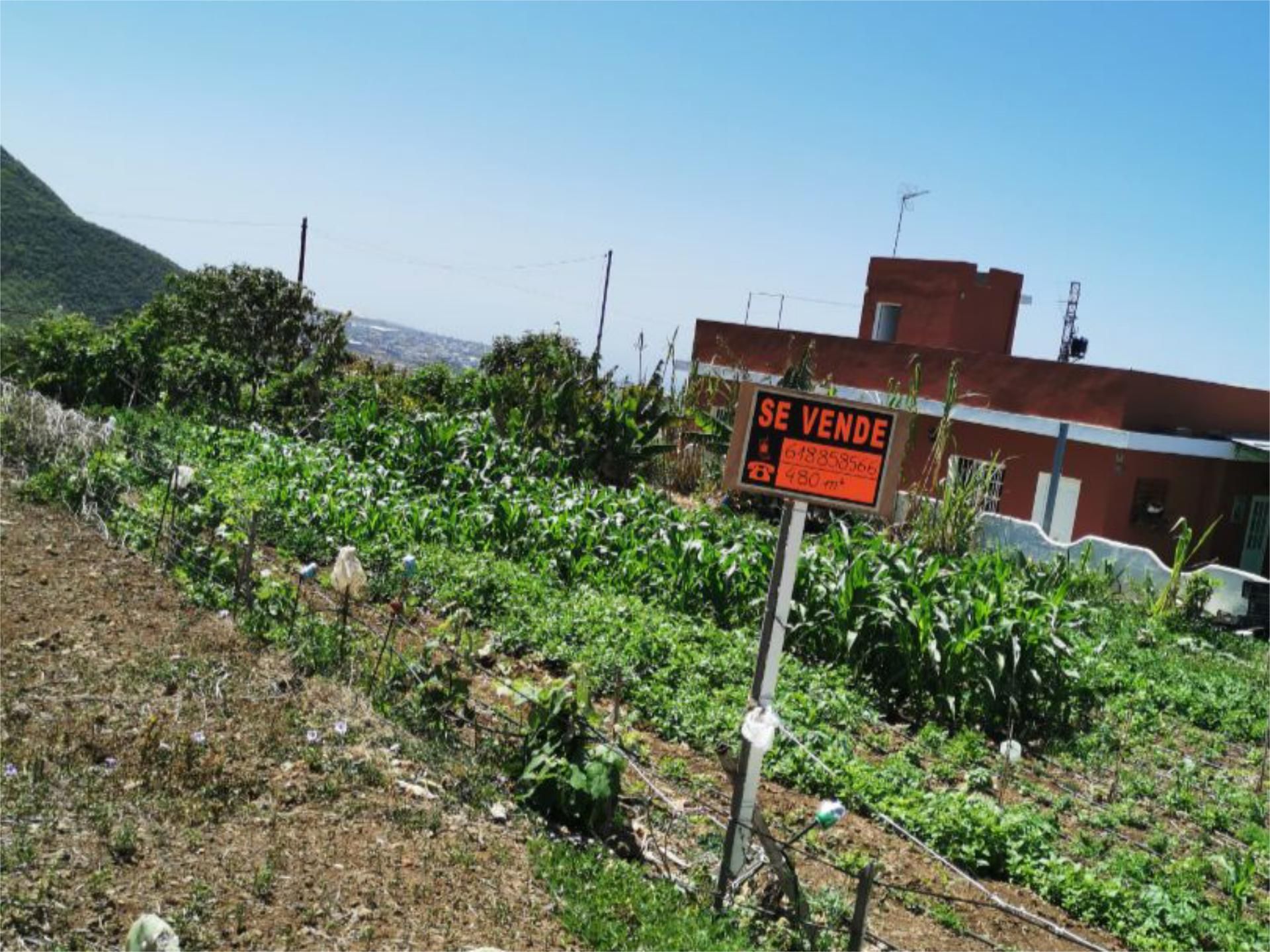 Land for sale in San Cristóbal de la Laguna