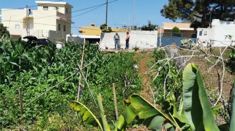 Foto 3 de Terreno en venta en Camino Vista Costa, 4, Tejina, Santa Cruz de Tenerife