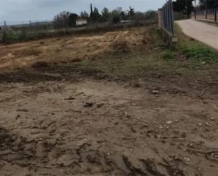 Constructible Land for sale in Poligono Plrustica2, 7009, Talamanca de Jarama