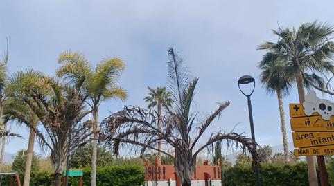 Flat to rent in Calle Rector Federico Mayor Zaragoza, 3, Playa de Granada, Granada - image 2 Photo 2 of Flat to rent in Calle Rector Federico Mayor Zaragoza, 3, Playa de Granada, Granada