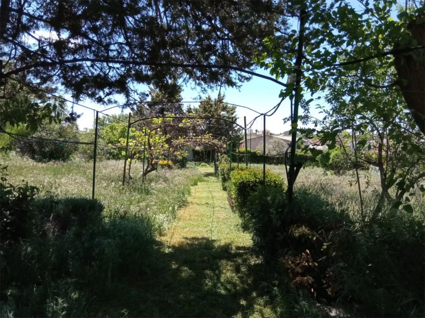 Grundstücke zum Verkauf in Paseo de la Soledad, 21, Atanzón Garten von Grundstücke zum Verkauf in Atanzón