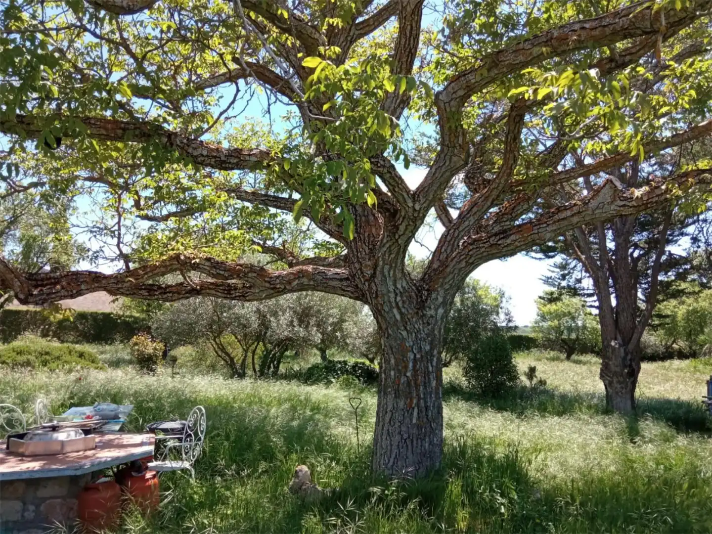Grundstücke zum Verkauf in Paseo de la Soledad, 21, Atanzón Garten von Grundstücke zum Verkauf in Atanzón