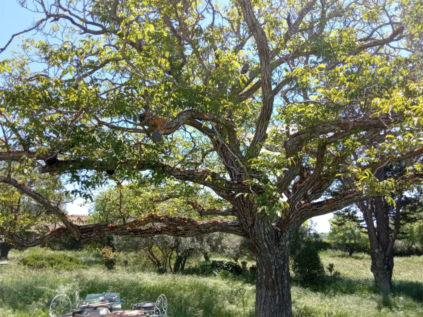Grundstücke zum Verkauf in Paseo de la Soledad, 21, Atanzón Garten von Grundstücke zum Verkauf in Atanzón