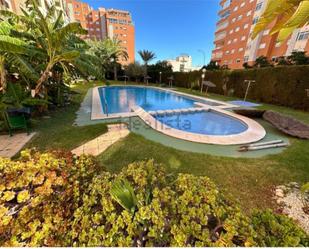 Swimming pool of Flat to share in Alicante / Alacant  with Swimming Pool