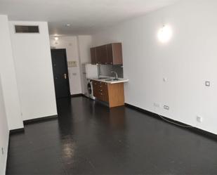 Loft to rent in Calle de Francisco Aritio, 166, Guadalajara Capital