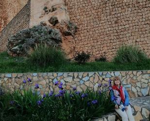 Jardí de Casa o xalet en venda en Hornos amb Terrassa i Balcó