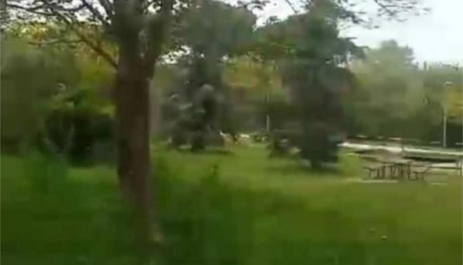 Pis per a compartir a Paseo de Albacete, 21, Los Arroyos, Madrid - imatge 1 Foto 1 de Pis per a compartir a Paseo de Albacete, 21, Los Arroyos, Madrid