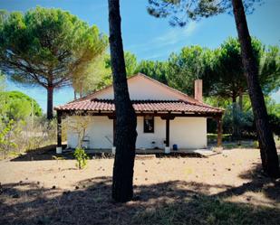 Garden of House or chalet for sale in Villanueva de Duero