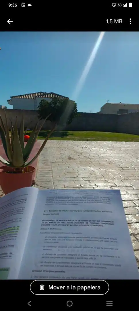 Garden of Houses for sale in Chiclana de la Frontera  with Private garden, Terrace and Storage room