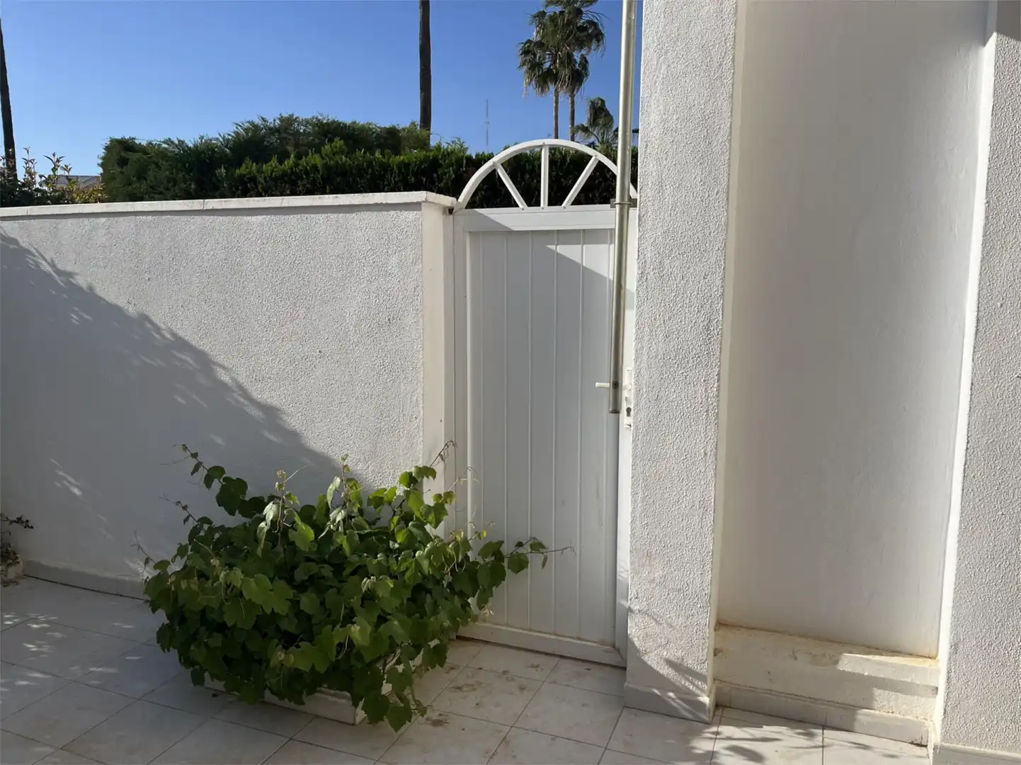 Apartments for sale in Calle París, 66, El Moncayo - El Pòrtic Garden of Apartments for sale in Guardamar del Segura with Terrace, Swimming Pool and Balcony