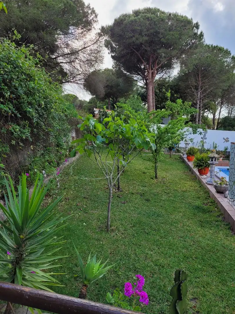 Finca rústica de alquiler en Calle Luis Braille, 38, Barbate ciudad