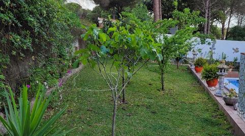 Photo 4 of Country house to rent in Calle Luis Braille, 38, Barbate ciudad, Cádiz